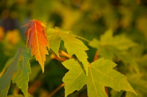Everyday the Seasons Change Everyday the Seasons Change